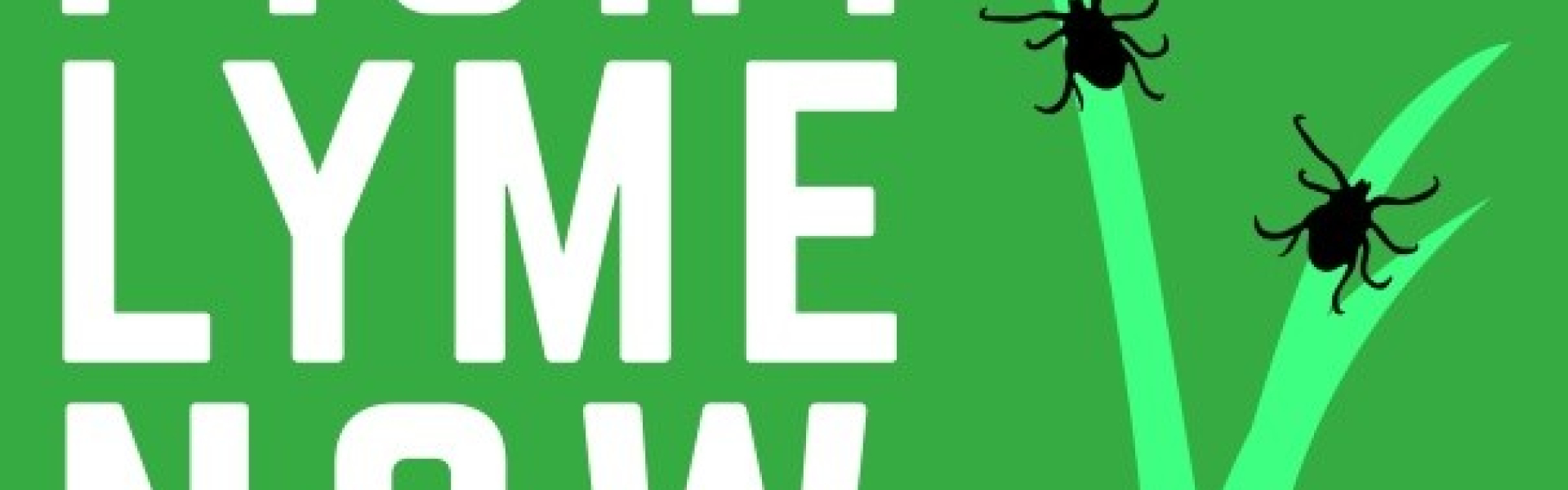 Fight Lyme Now