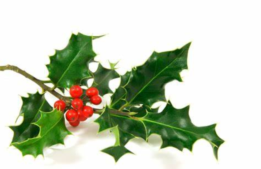 Christmas Holly